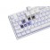 Клавиатура Genesis Gaming Keyboard Thor 404 TKL White RGB Backlight US Layout Brown Switch