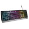 Клавиатура Genesis Gaming Keyboard Rhod 300 US Layout