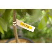 Консуматив Brother TZe-621 Tape Black on Yellow, Laminated, 9mm Eco