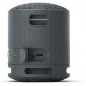 Тонколони Sony SRS-XB100 Portable Bluetooth Speaker, black