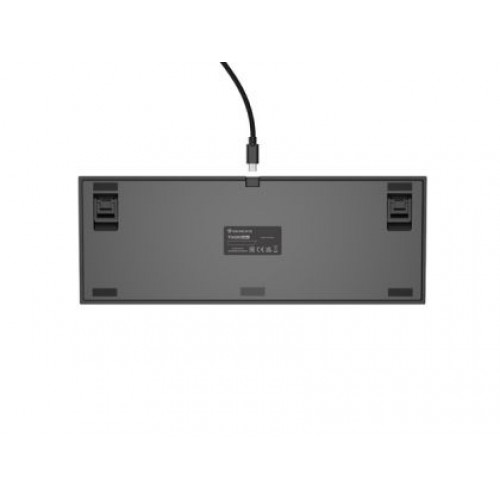 Клавиатура Genesis Gaming Keyboard Thor 404 TKL Black RGB Backlight US Layout Brown Switch-3