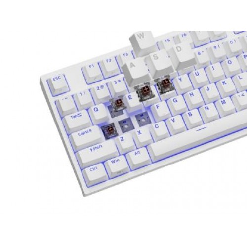 Клавиатура Genesis Gaming Keyboard Thor 404 TKL White RGB Backlight US Layout Brown Switch-1
