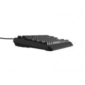 Клавиатура Genesis Gaming Keyboard Thor 230 TKL US RGB Mechanical Outemu Brown Black Hot Swap