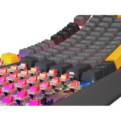 Клавиатура Genesis Gaming Keyboard Thor 230 TKL Anchor Gray Negative US RGB Mechanical Outemu Red-2