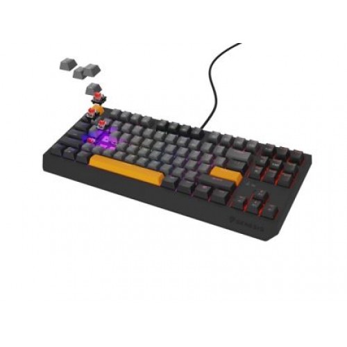 Клавиатура Genesis Gaming Keyboard Thor 230 TKL Anchor Gray Negative US RGB Mechanical Outemu Red-4