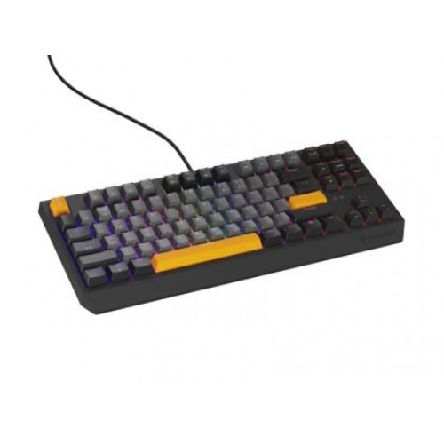 Клавиатура Genesis Gaming Keyboard Thor 230 TKL Anchor Gray Negative US RGB Mechanical Outemu Red-6
