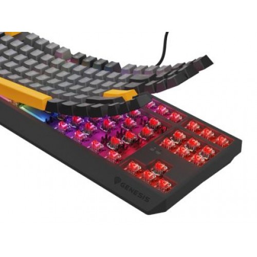 Клавиатура Genesis Gaming Keyboard Thor 230 TKL Anchor Gray Negative US RGB Mechanical Outemu Red-7