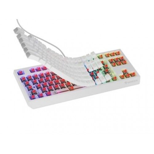 Клавиатура Genesis Gaming Keyboard Thor 230 TKL US RGB Mechanical Outemu Red White Hot Swap-2