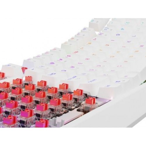 Клавиатура Genesis Gaming Keyboard Thor 230 TKL US RGB Mechanical Outemu Red White Hot Swap-6