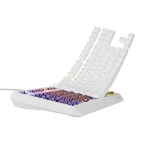Клавиатура Genesis Gaming Keyboard Thor 230 TKL US RGB Mechanical Outemu Brown White Hot Swap-4