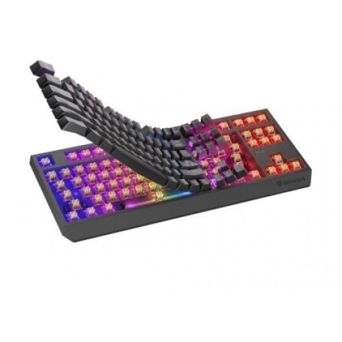 Клавиатура Genesis Gaming Keyboard Thor 230 TKL Wireless US Black RGB Mechanical Outemu Panda-4