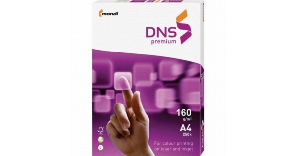 Картон DNS Premium A4 250 л. 160 g/m2
