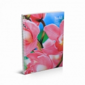 Тетрадка Multiprint Меки корици, спирала, 2 теми, А4 80 л. с широки редове