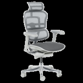 Ергономичен стол ERGOHUMAN ELITE 2 - сива рамка - сив