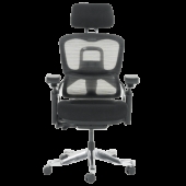 Ергономичен стол DOLE - черен