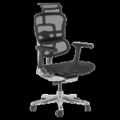 Ергономичен стол ERGOHUMAN ELITE 2 - черна рамка - черен