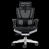 Ергономичен стол ERGOHUMAN ELITE 2 - черна рамка - черен