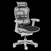 Ергономичен стол ERGOHUMAN ELITE 2 - сива рамка - черен