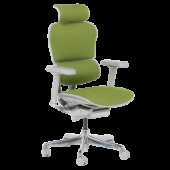 Ергономичен стол ERGOHUMAN ELITE 2 - сива рамка - зелен