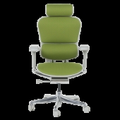 Ергономичен стол ERGOHUMAN ELITE 2 - сива рамка - зелен