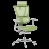 Ергономичен стол ERGOHUMAN IOO ELITE 2 - сива рамка - зелен