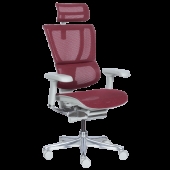 Ергономичен стол ERGOHUMAN IOO ELITE 2 - сива рамка - червен