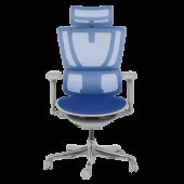 Ергономичен стол ERGOHUMAN IOO ULTRA - сива рамка - син