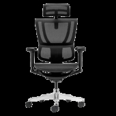 Ергономичен стол ERGOHUMAN IOO ULTRA - черна рамка - черен