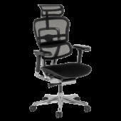 Ергономичен стол ERGOHUMAN ELITE 2 - черна рамка - черен