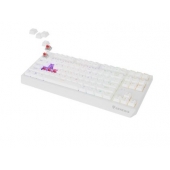 Клавиатура Genesis Gaming Keyboard Thor 230 TKL Wireless US White RGB Mechanical Outemu Red