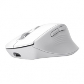 Мишка TRUST Niven Comfort Multi-Wireless Mouse White